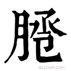 康熙字典 𦜕