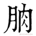 康熙字典 朒