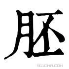 康熙字典 胚